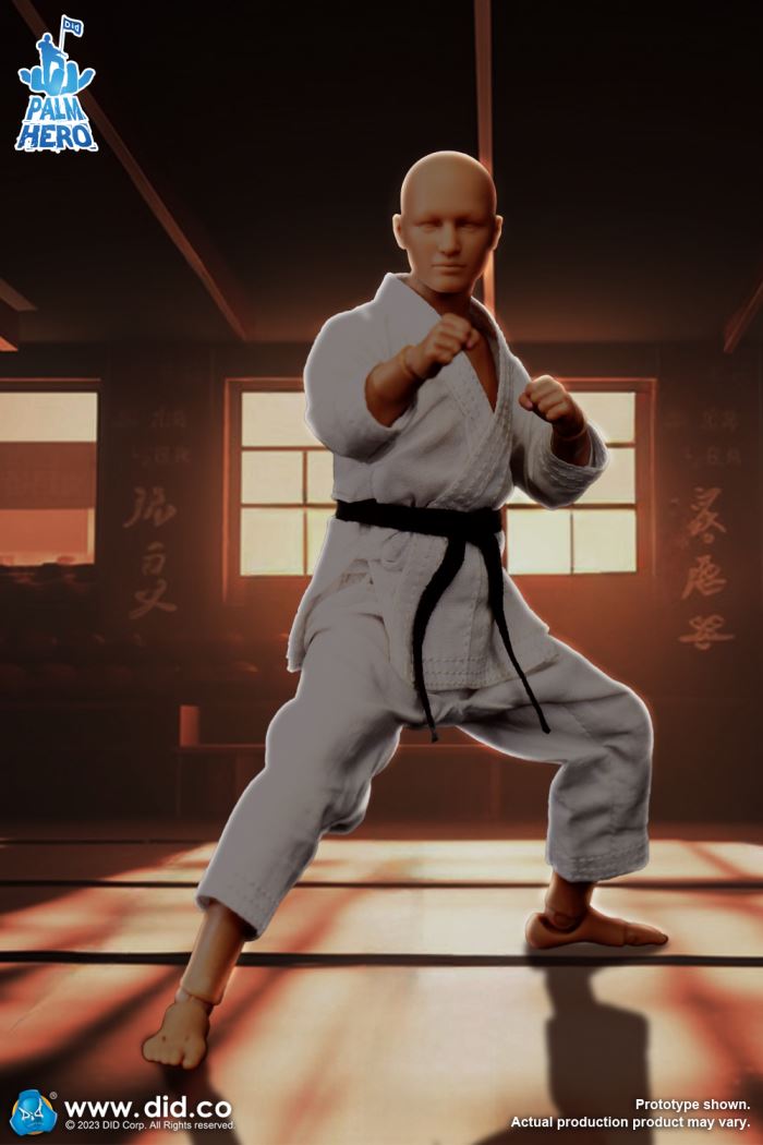 Handheld Hero Series Zhenle Series Karate Player 1/12