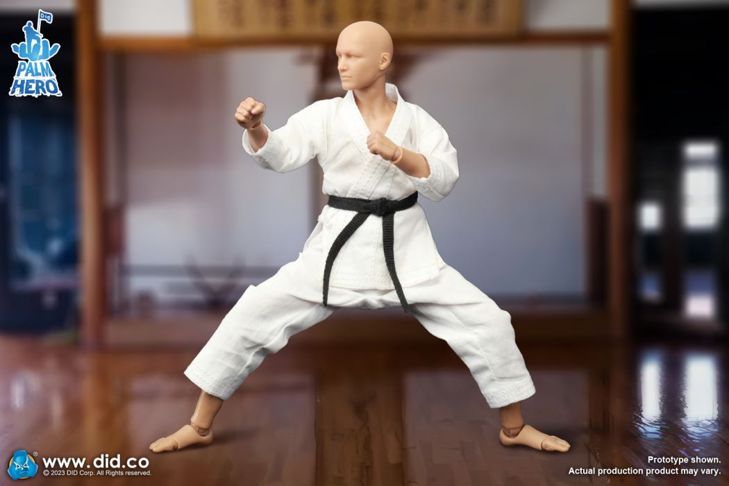 Handheld Hero Series Zhenle Series Karate Player 1/12