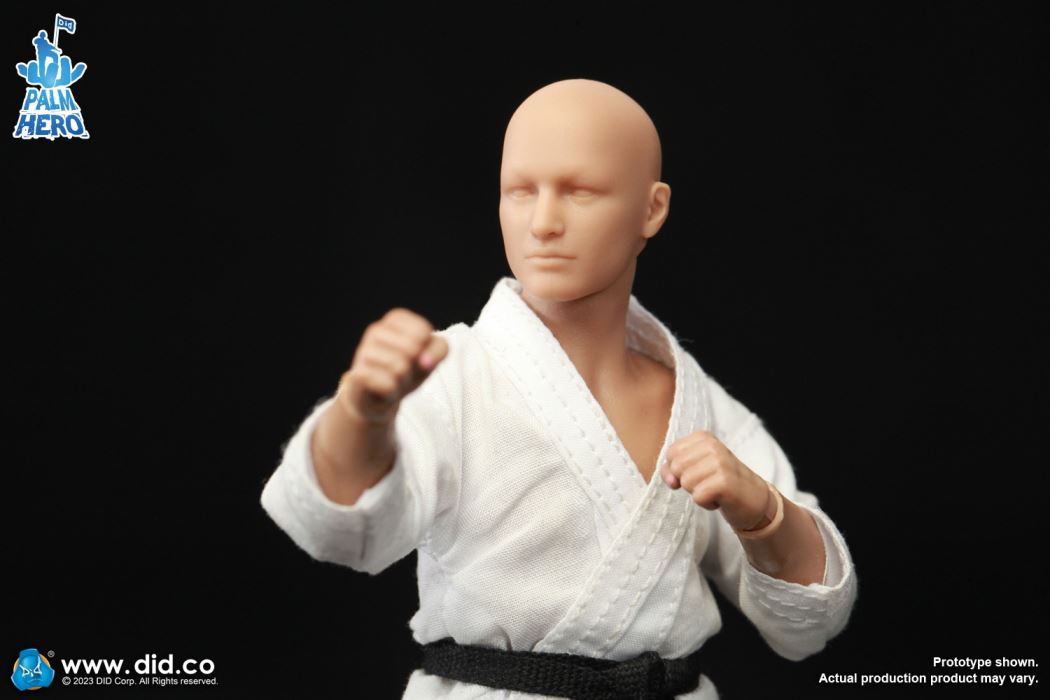 Handheld Hero Series Zhenle Series Karate Player 1/12