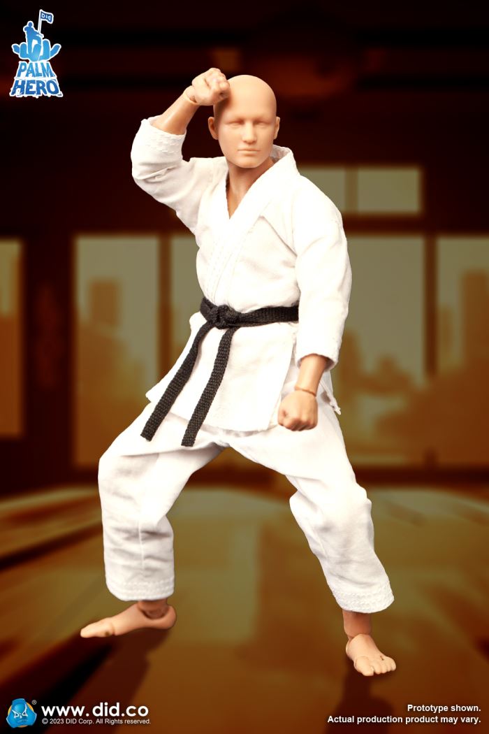 Handheld Hero Series Zhenle Series Karate Player 1/12
