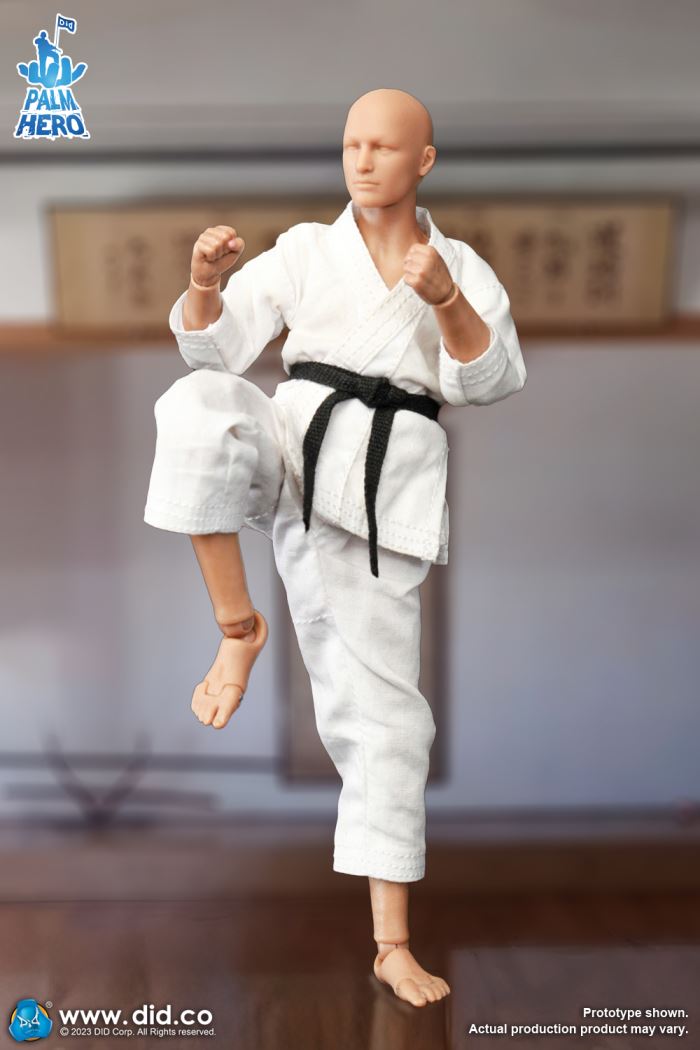 Handheld Hero Series Zhenle Series Karate Player 1/12