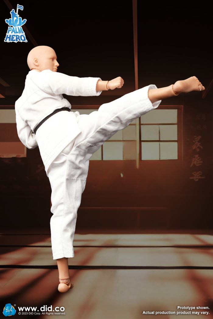 Handheld Hero Series Zhenle Series Karate Player 1/12