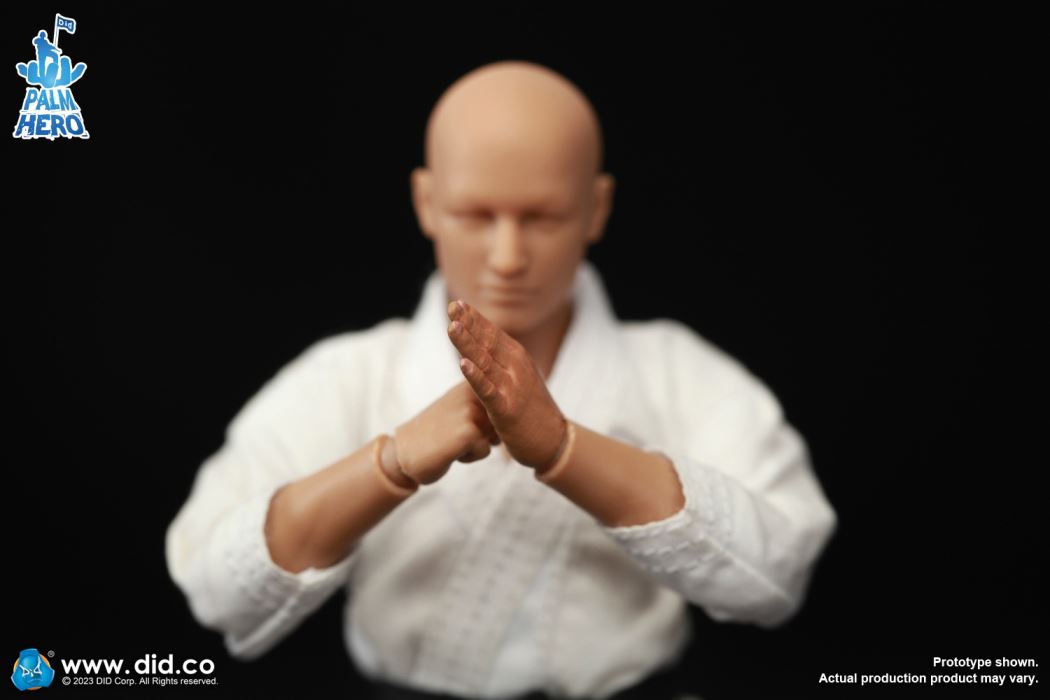 Handheld Hero Series Zhenle Series Karate Player 1/12