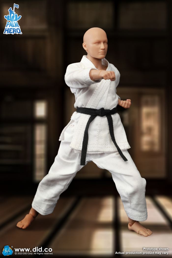 Handheld Hero Series Zhenle Series Karate Player 1/12