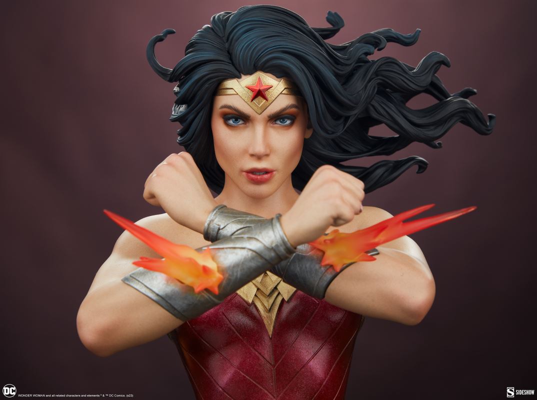 WONDER WOMAN: SAVING THE DAY