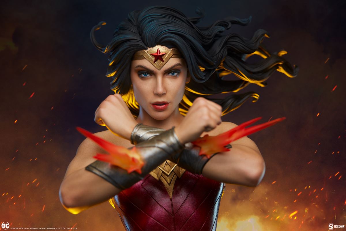 WONDER WOMAN: SAVING THE DAY