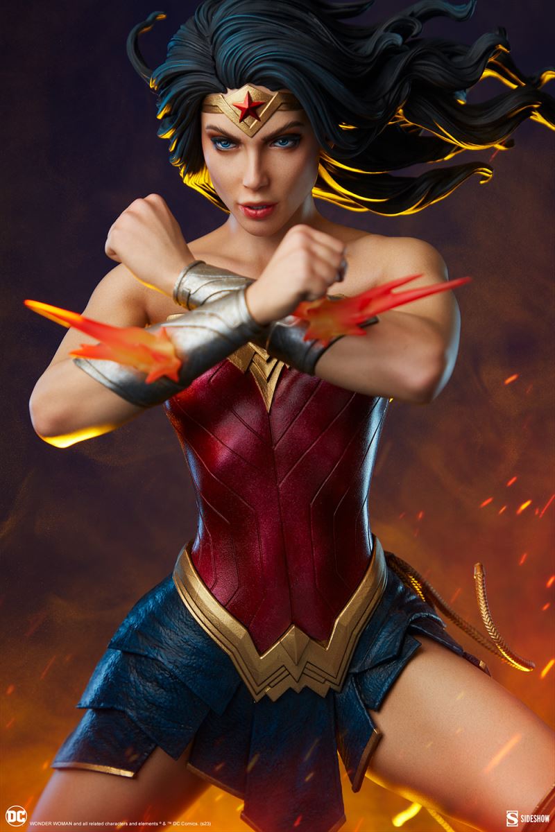 WONDER WOMAN: SAVING THE DAY