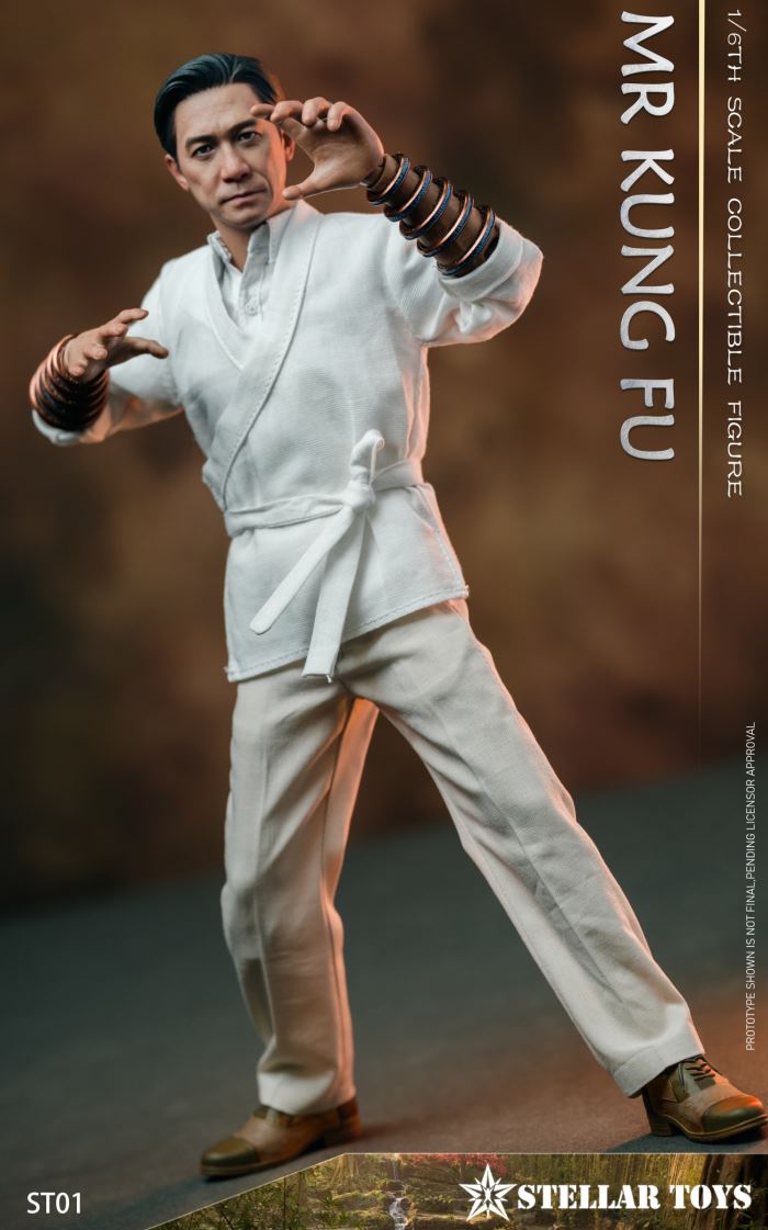 Mr Kung Fu 1/6