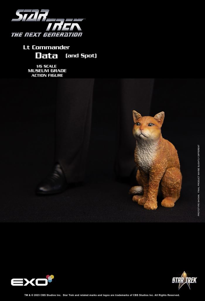 LT. COMMANDER DATA - Star Trek