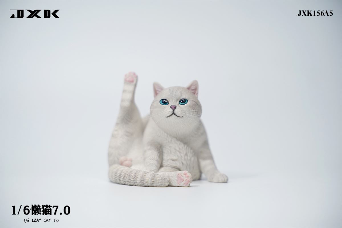 Lazy Cat 7.0 1/6