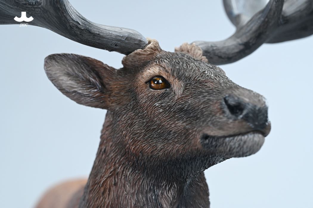 Reindeer 1/6