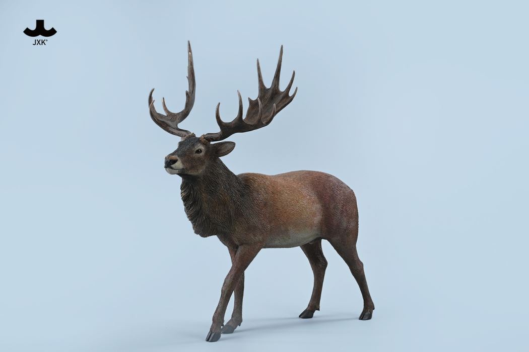 Reindeer 1/6