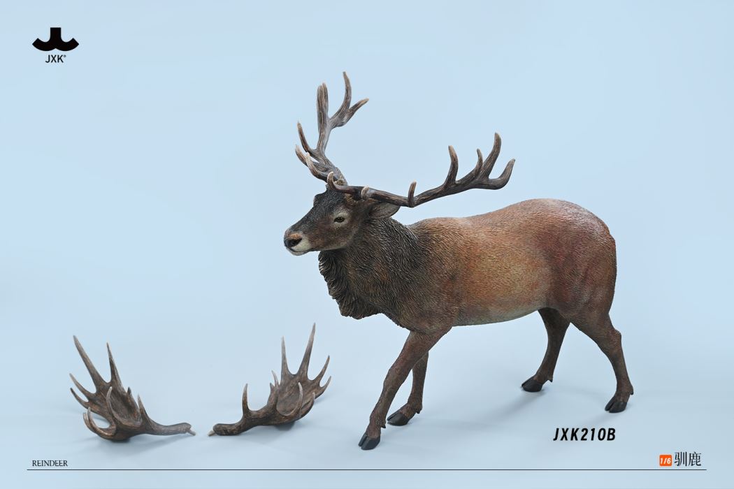 Reindeer 1/6