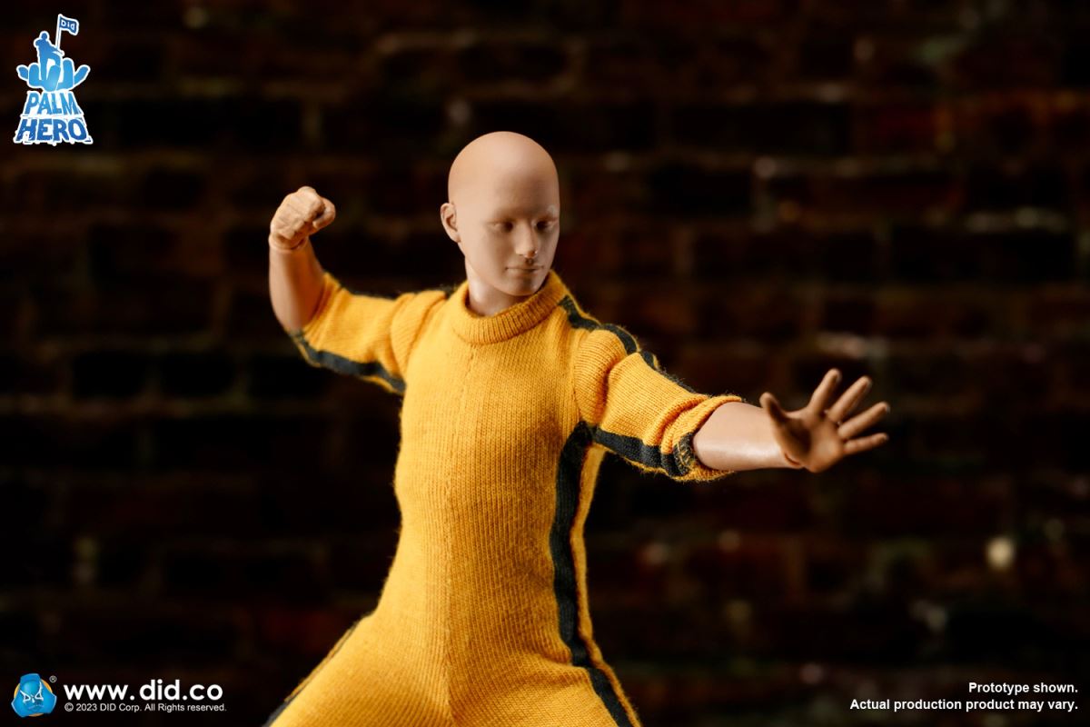 Pocket Hero Zhenle Series - King of Kung Fu 1/12