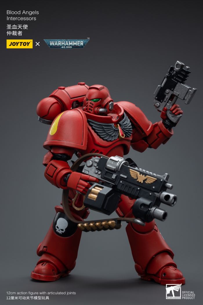 Space Wolves / Sergeant Richards / Imperial Fists / Blood Angels / Primaris Advanced Brother Raymond 1/18