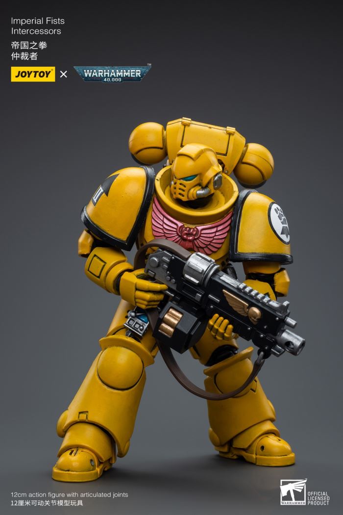 Space Wolves / Sergeant Richards / Imperial Fists / Blood Angels / Primaris Advanced Brother Raymond 1/18
