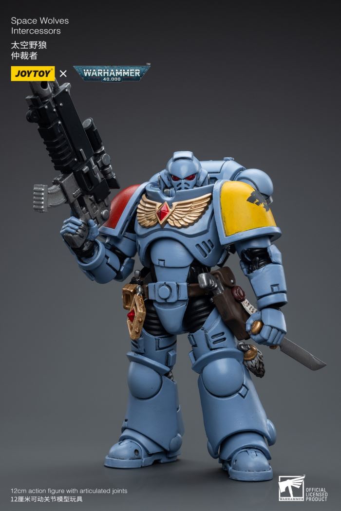 Space Wolves / Sergeant Richards / Imperial Fists / Blood Angels / Primaris Advanced Brother Raymond 1/18
