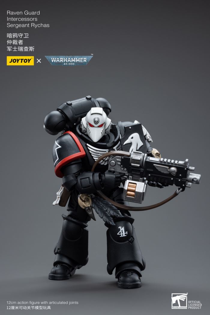 Space Wolves / Sergeant Richards / Imperial Fists / Blood Angels / Primaris Advanced Brother Raymond 1/18