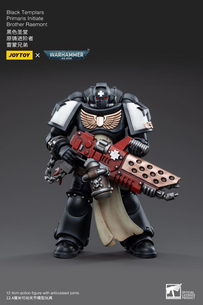 Space Wolves / Sergeant Richards / Imperial Fists / Blood Angels / Primaris Advanced Brother Raymond 1/18