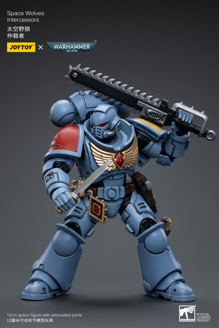 Space Wolves / Sergeant Richards / Imperial Fists / Blood Angels / Primaris Advanced Brother Raymond 1/18