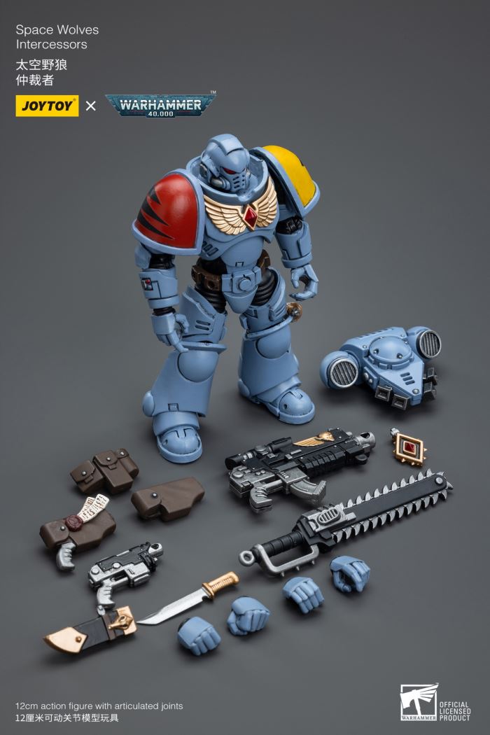 Space Wolves / Sergeant Richards / Imperial Fists / Blood Angels / Primaris Advanced Brother Raymond 1/18