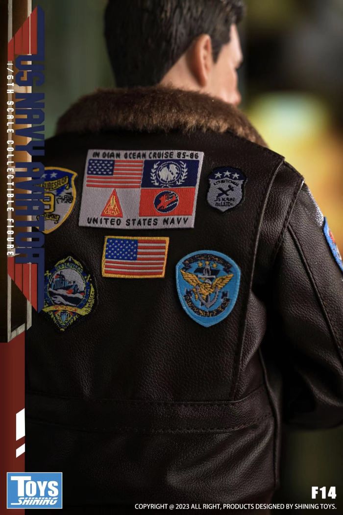 The Shining Toys Top Gun US Navy Pilot-F14 1/6