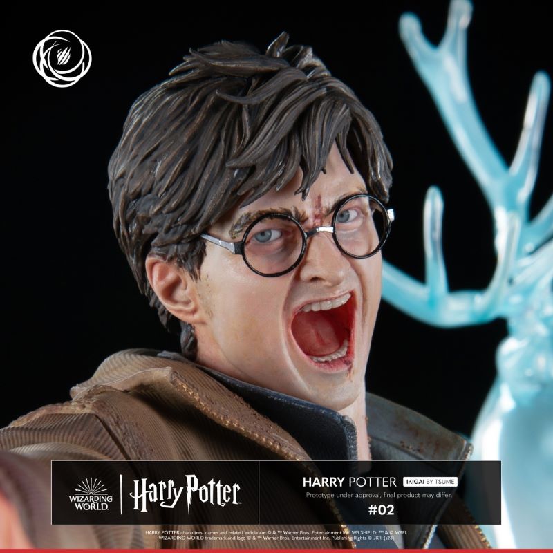 Harry Potter and Voldemort