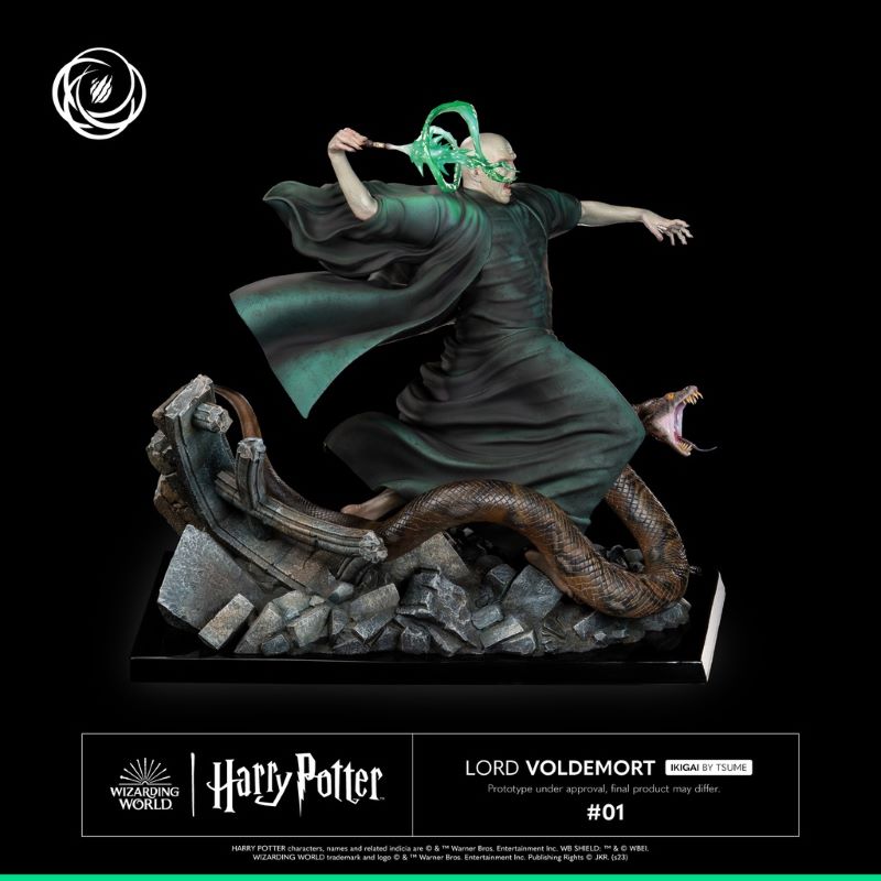 Harry Potter and Voldemort
