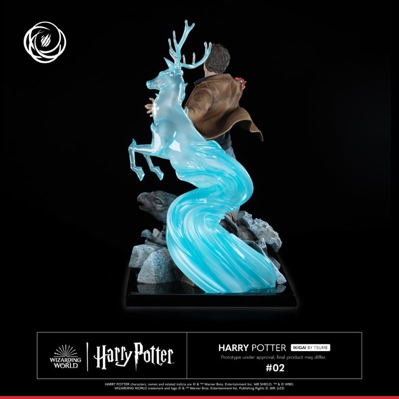 Harry Potter and Voldemort