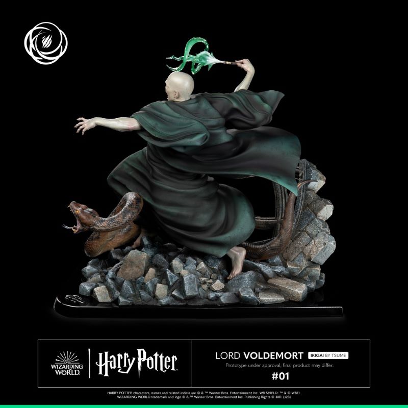 Harry Potter and Voldemort