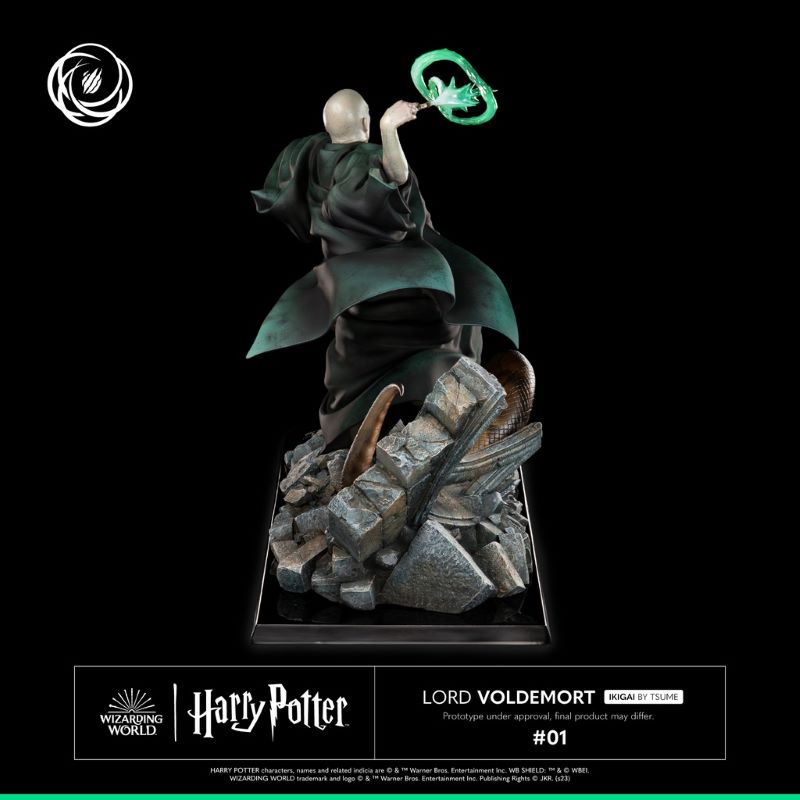 Harry Potter and Voldemort