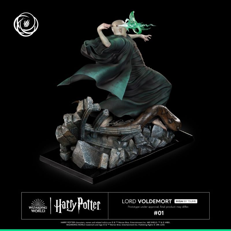 Harry Potter and Voldemort