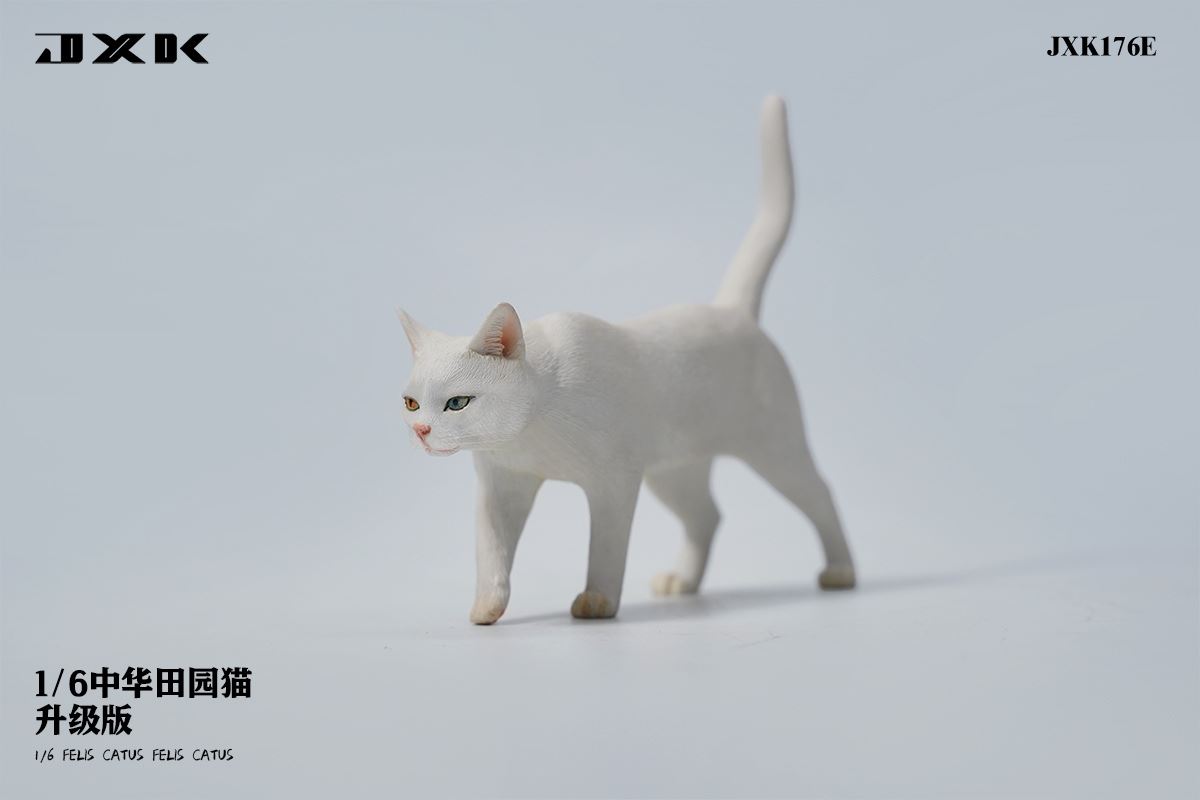 Chinese pastoral cat upgraded version 1/6