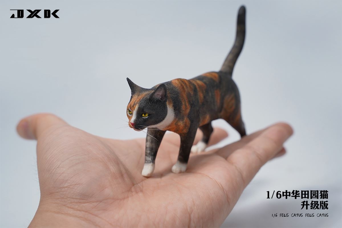 Chinese pastoral cat upgraded version 1/6