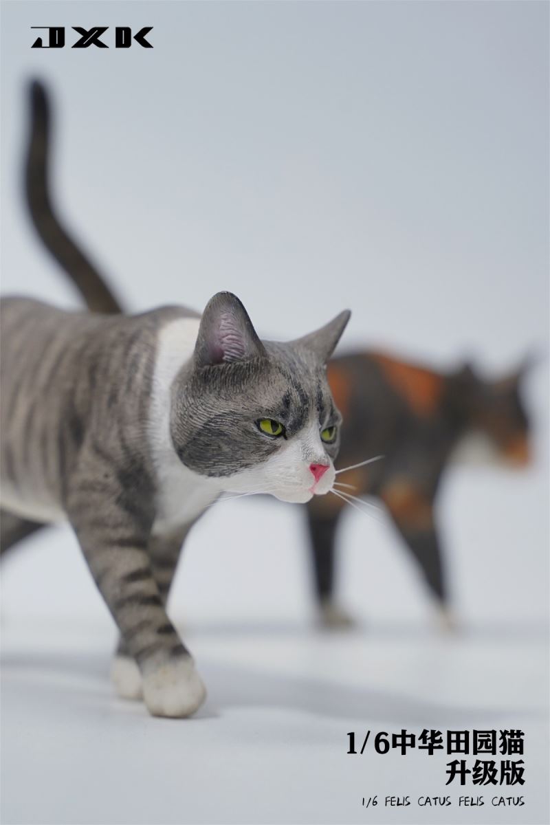 Chinese pastoral cat upgraded version 1/6