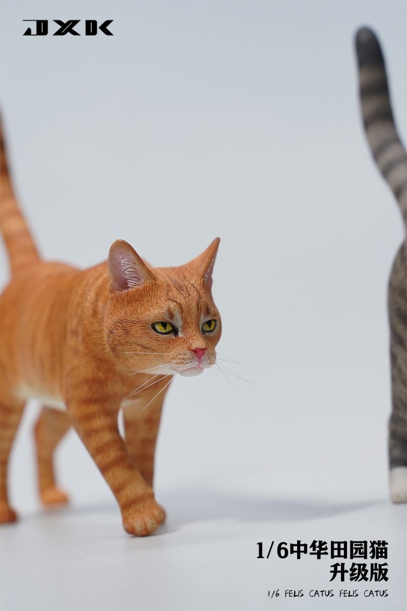Chinese pastoral cat upgraded version 1/6