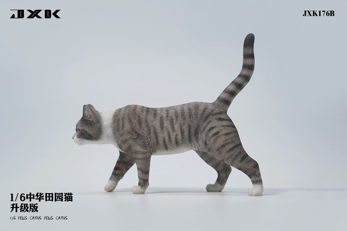 Chinese pastoral cat upgraded version 1/6