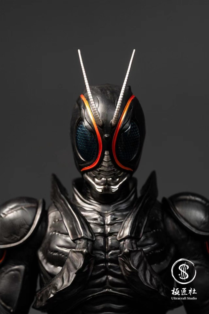 Kamen Rider Black Sun 1/6
