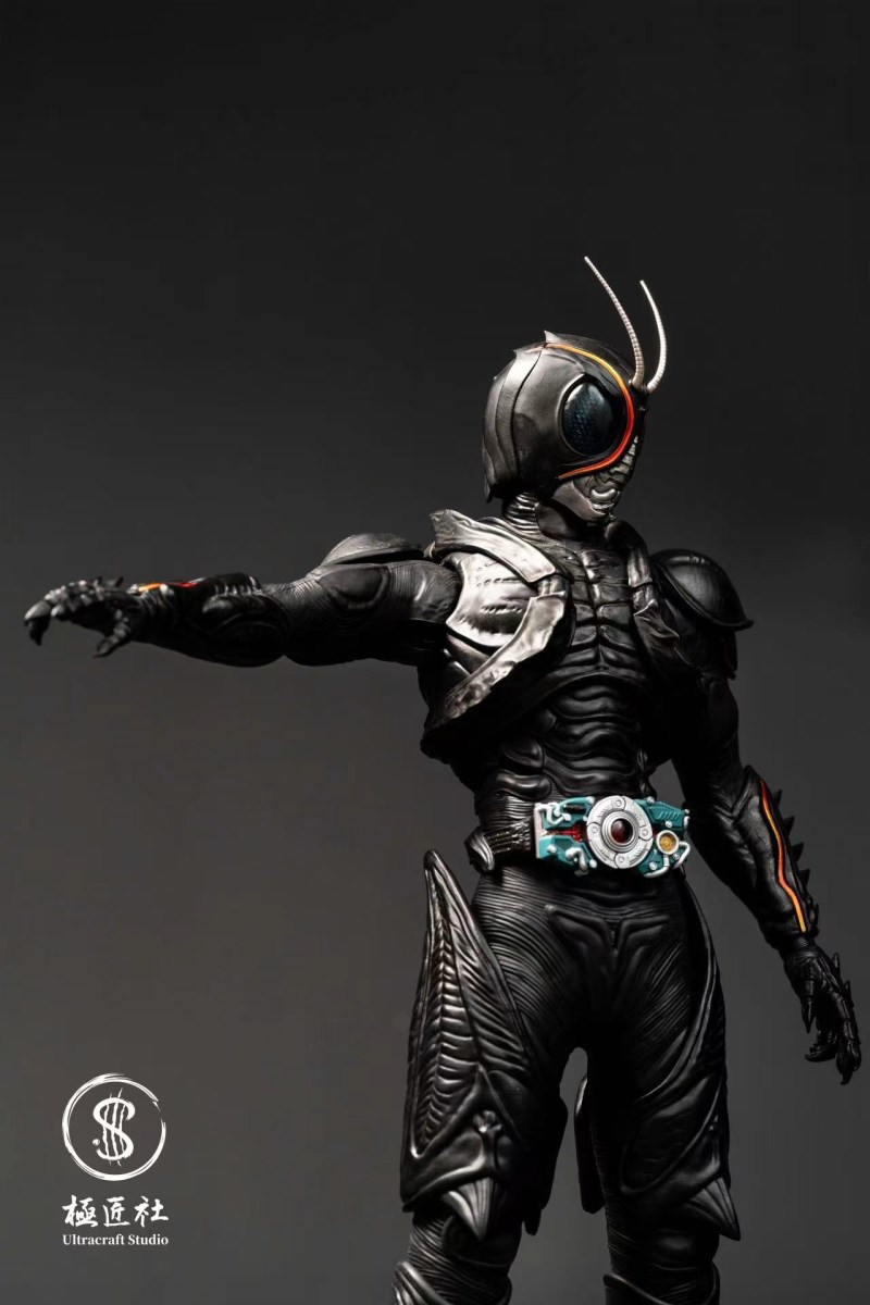 Kamen Rider Black Sun 1/6