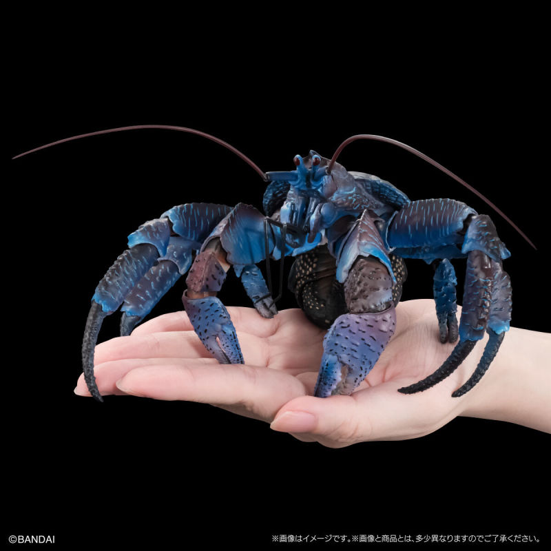 Coconut Crab