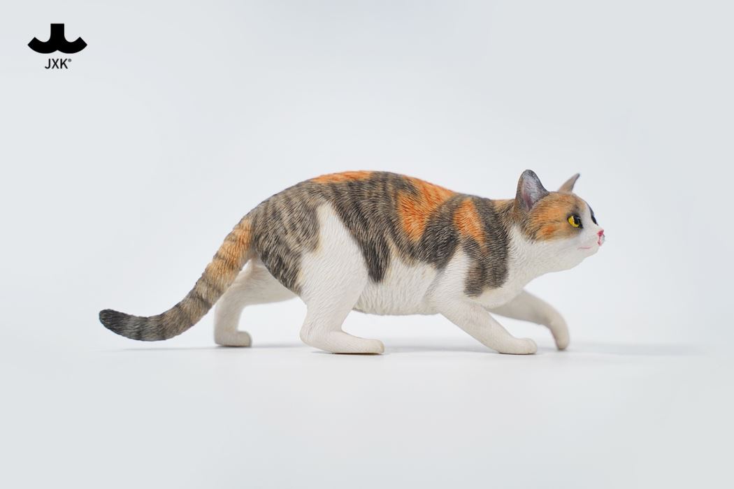 Felis Catus 3.0 1/6