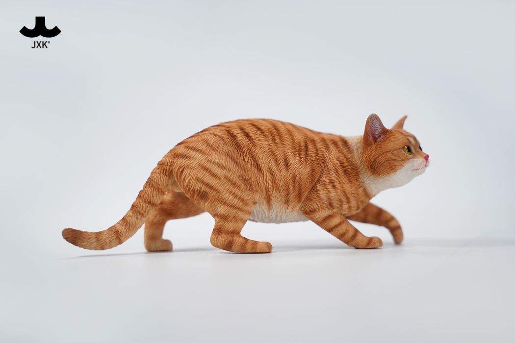 Felis Catus 3.0 1/6