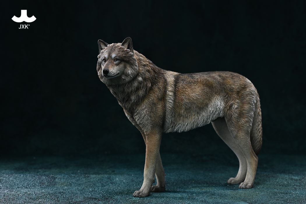 Arctic wolf 1/6