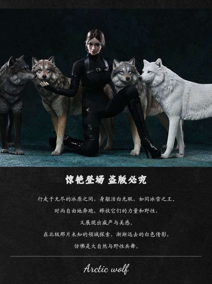 Arctic wolf 1/6