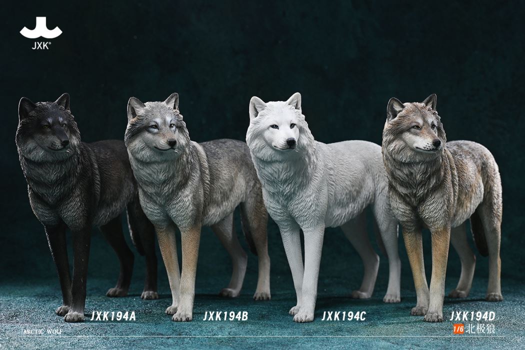 Arctic wolf 1/6