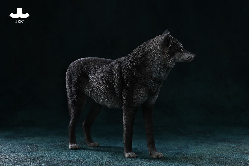 Arctic wolf 1/6