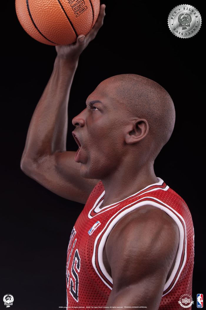 Michael Jordan 1/4