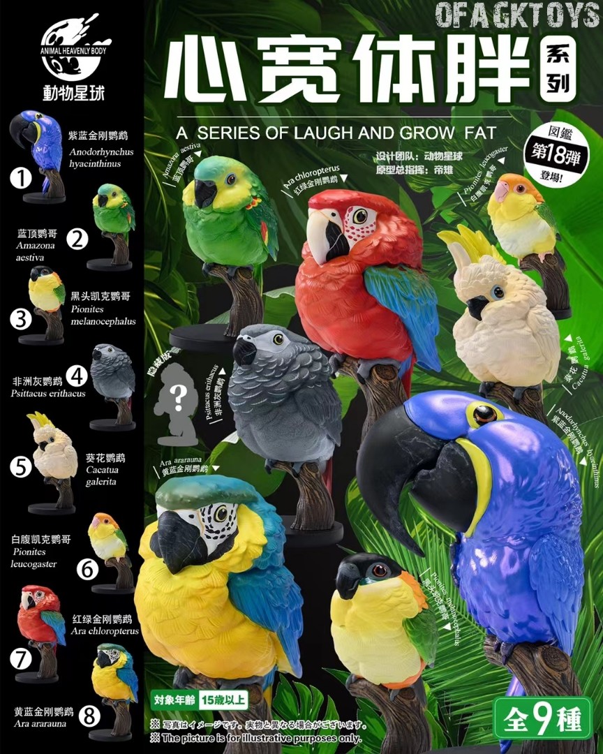 Heart Wide Body Fat Series Parrot