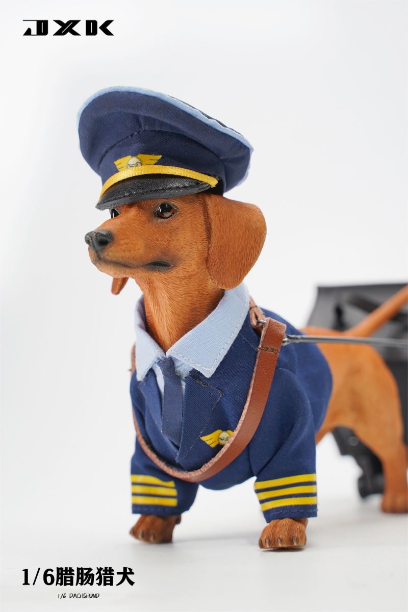 Dachshund (JXK163) 1/6