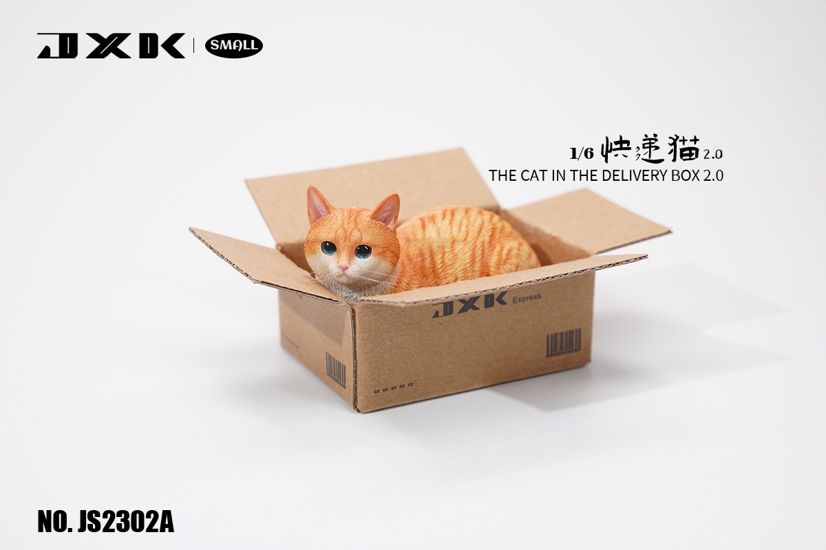 The Cat In The Delivery Box 2.0 1/6